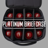 Platinum Briefcase