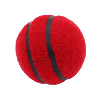 R66T Academy Tennis Ball With Seam