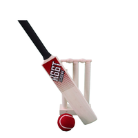 R66T Academy Mini Cricket Set